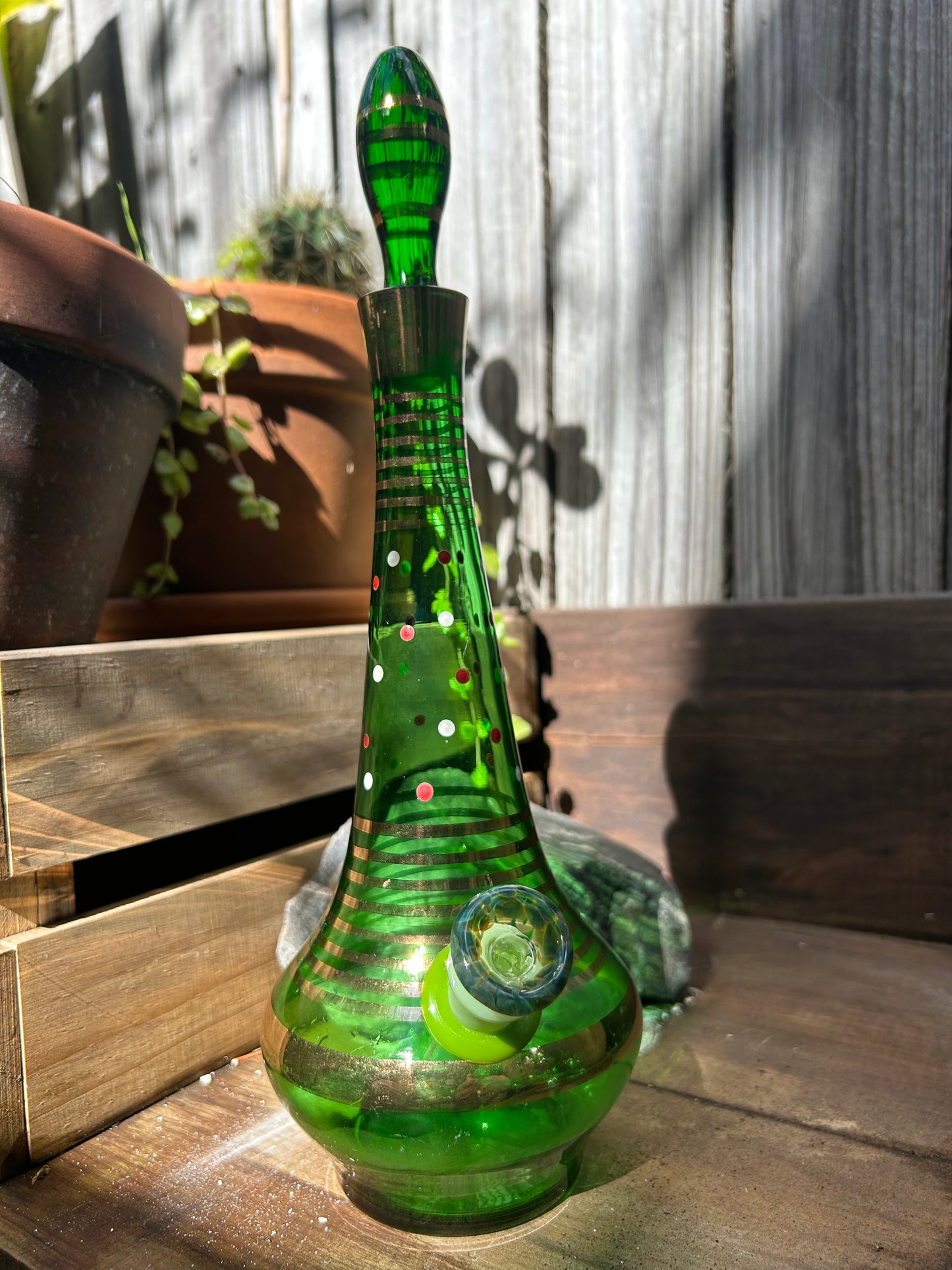 green genie 1970