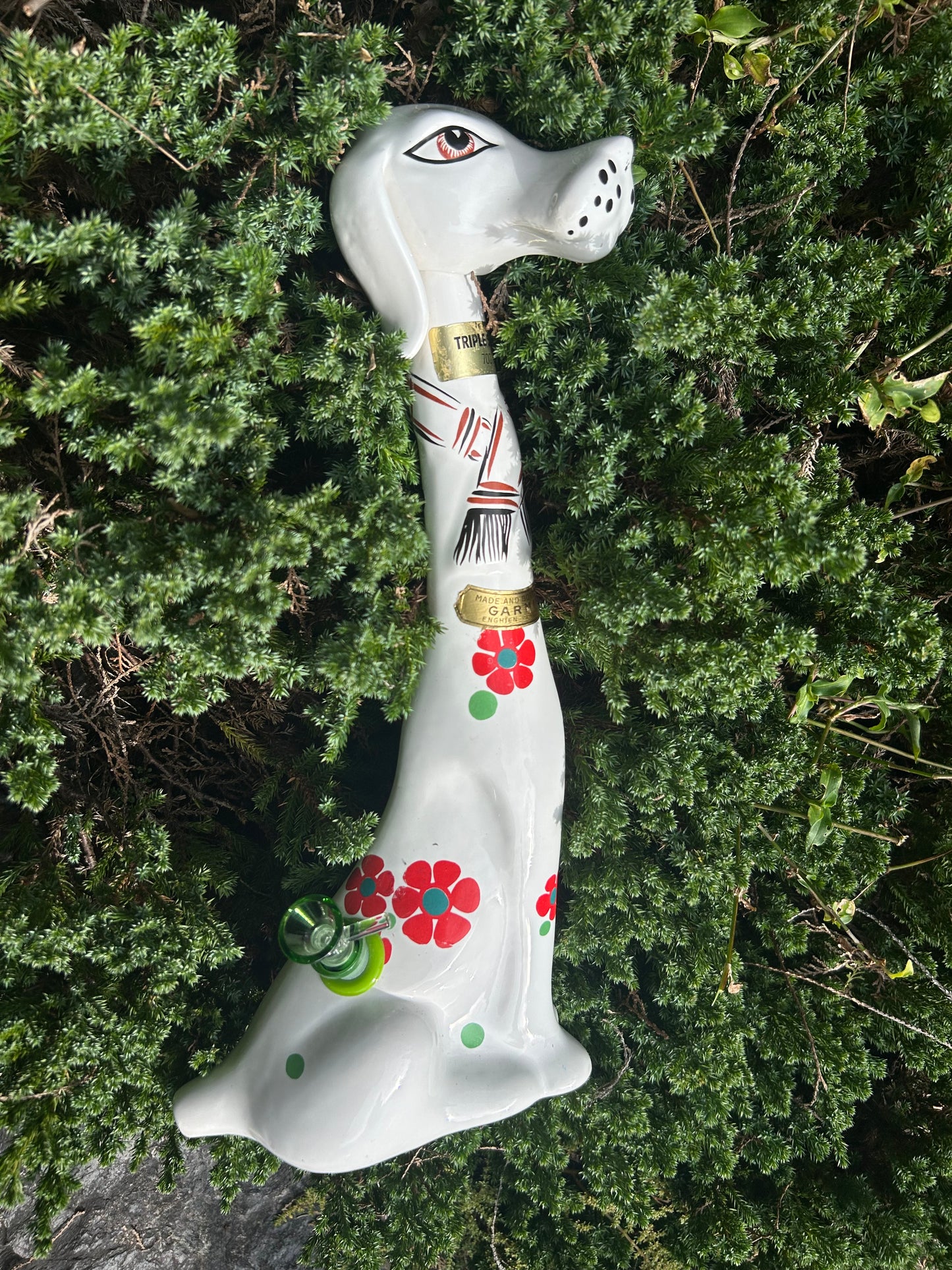 bouteille année 1976 dog