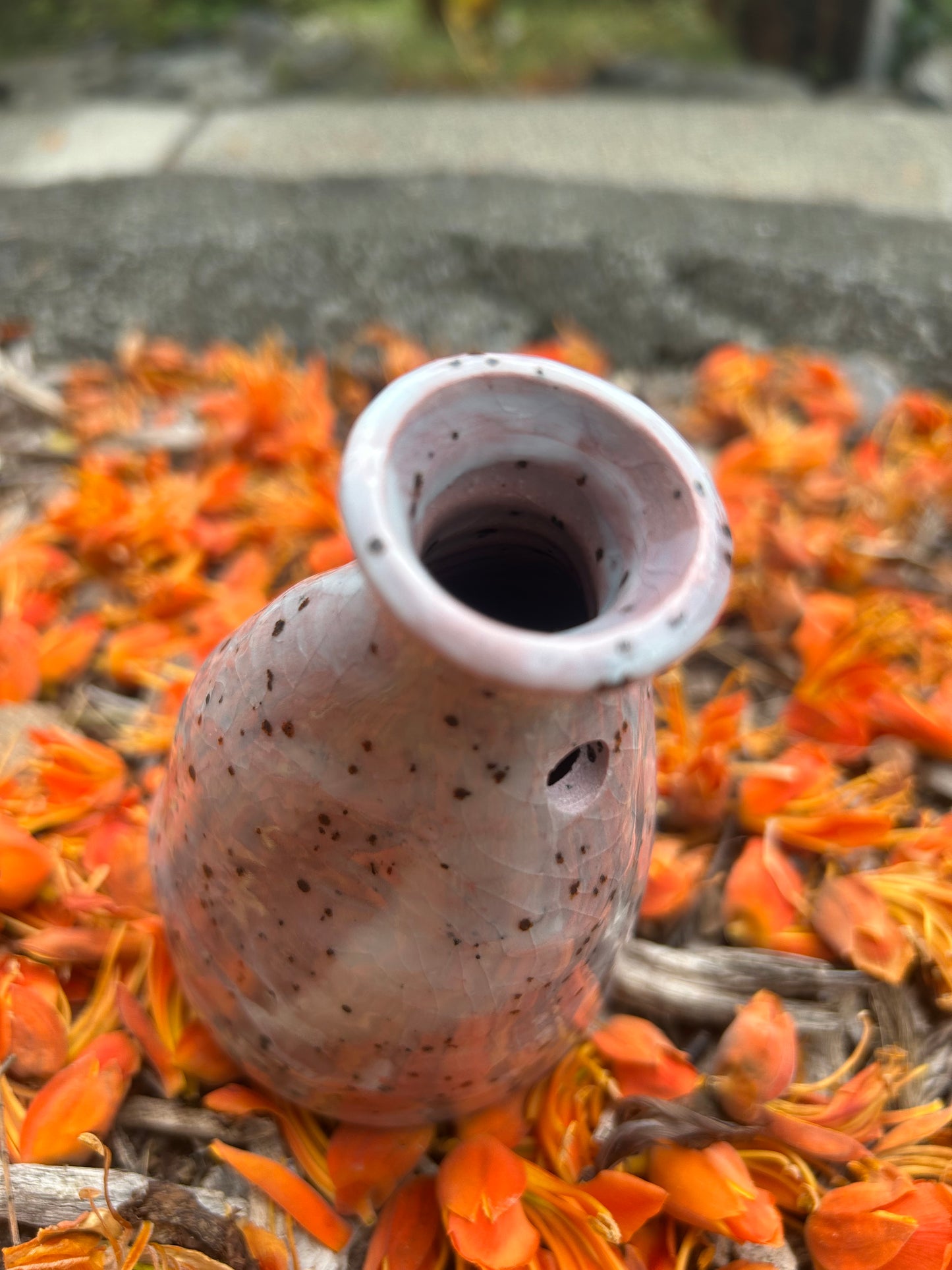 La Fissure (the crackle)