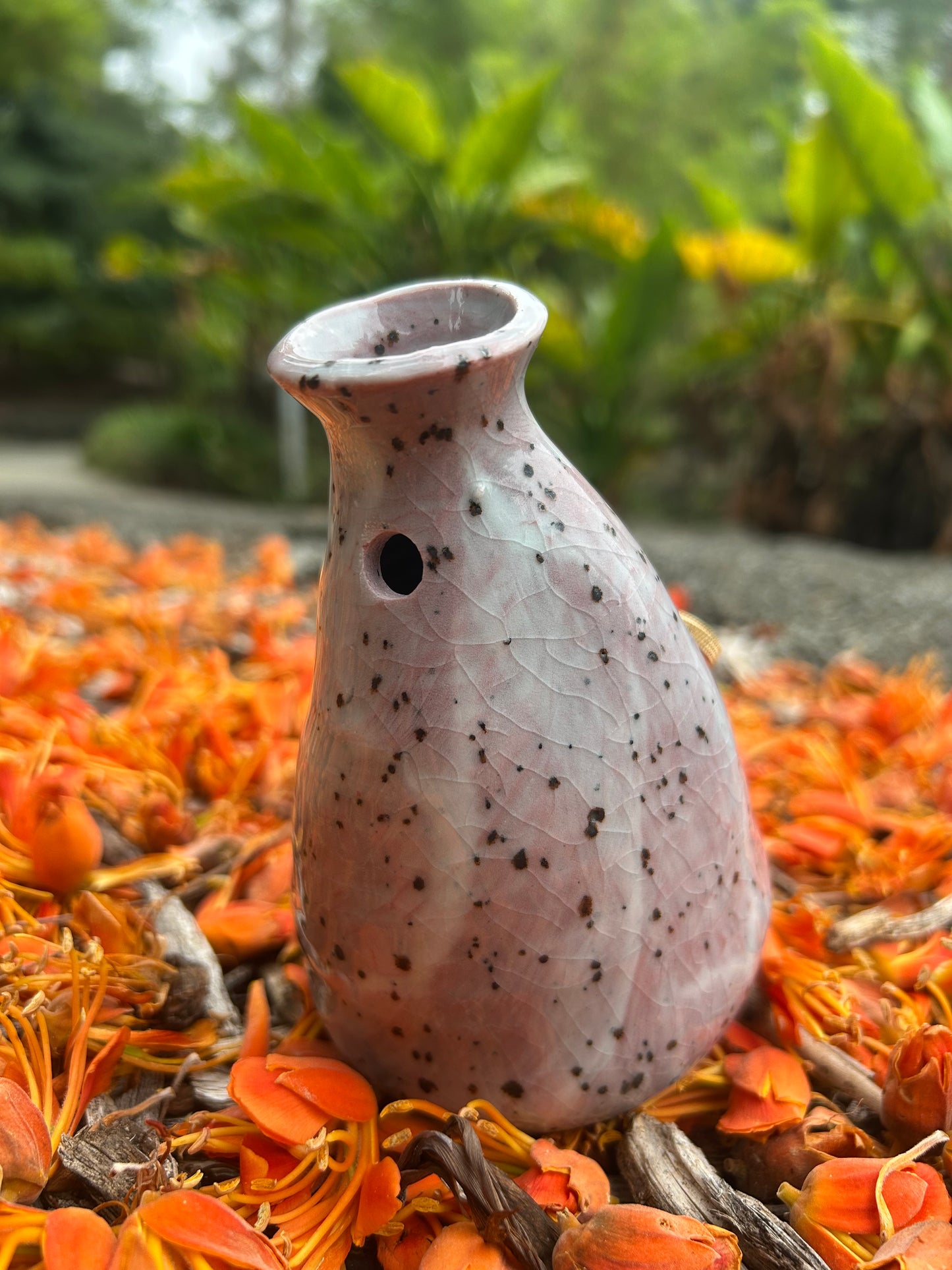 La Fissure (the crackle)