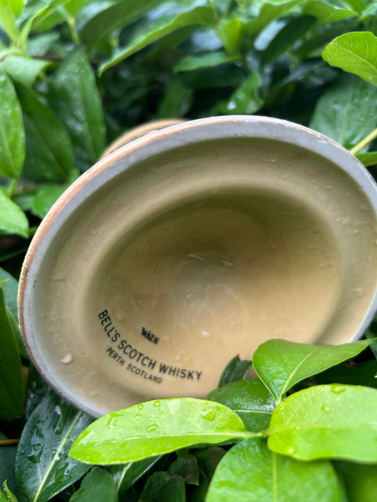 Bell’s 1904