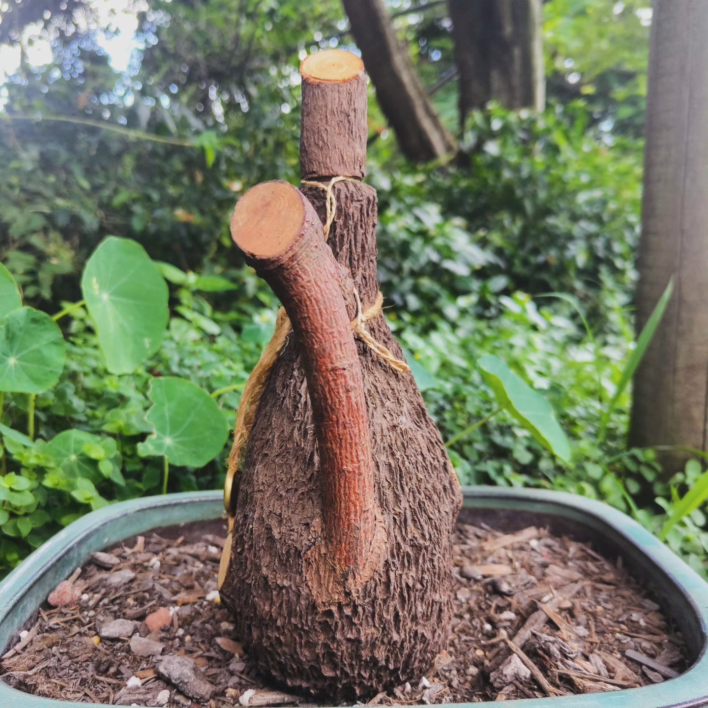 vintage rindenschmid bark decanter bong with mushroom bowl