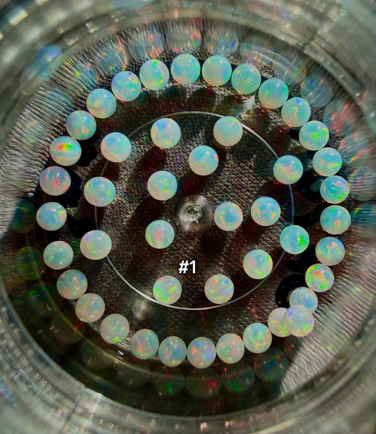 Opal Terp Pearls